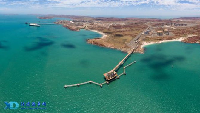 密集视野网 密集视野网