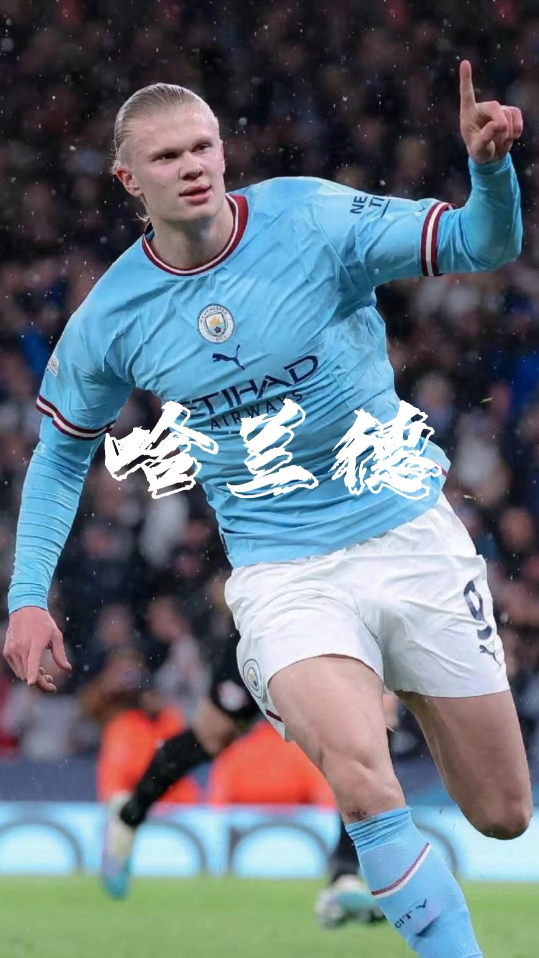 蒙特利尔宣 蒙特利尔宣